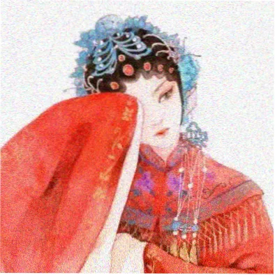 用户胶片收集者的头像